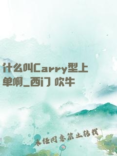 什么叫Carry型上单啊